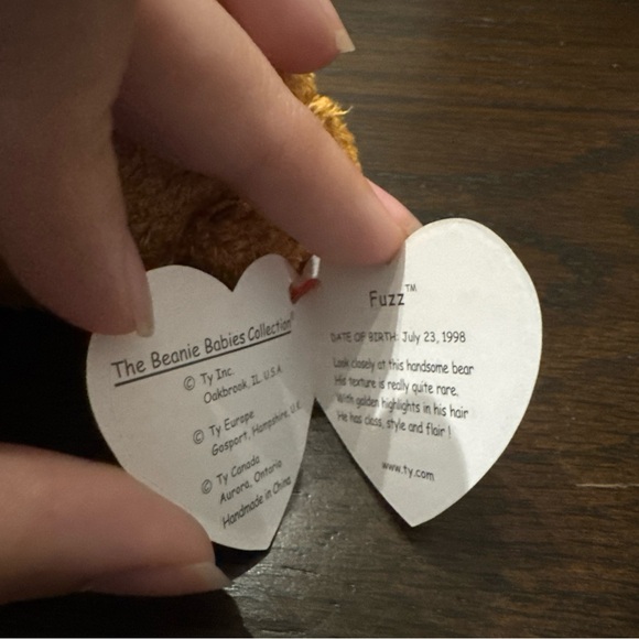 TY Beanie Baby - Fuzz The Bear - Stuffed Animal Toy - Picture 6 of 7